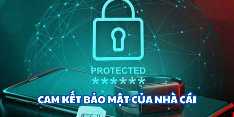 Cam kết và trách nhiệm dịch vụ từ nền tảng