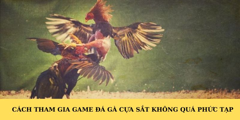 Cách tham gia game đá gà cựa sắt không quá phức tạp