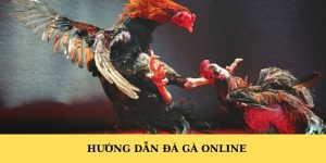 Hướng dẫn đá gà online tại P3