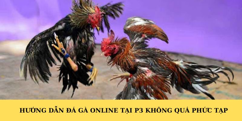 Hướng dẫn đá gà online tại P3 không quá phức tạp